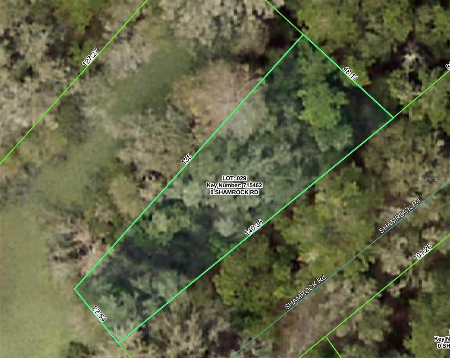 SHAMROCK RD, DADE CITY, FL — photo 2