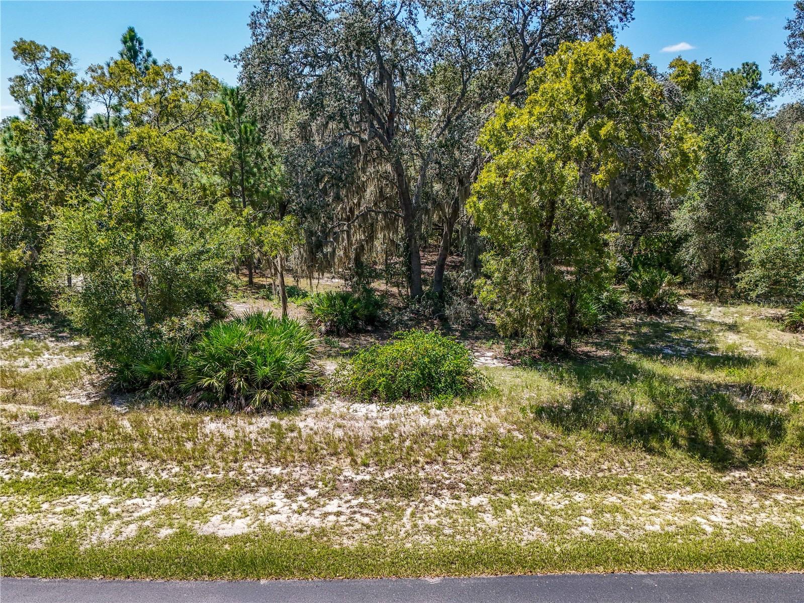 3134 BRIGHT LAKE CIR, LEESBURG, FL