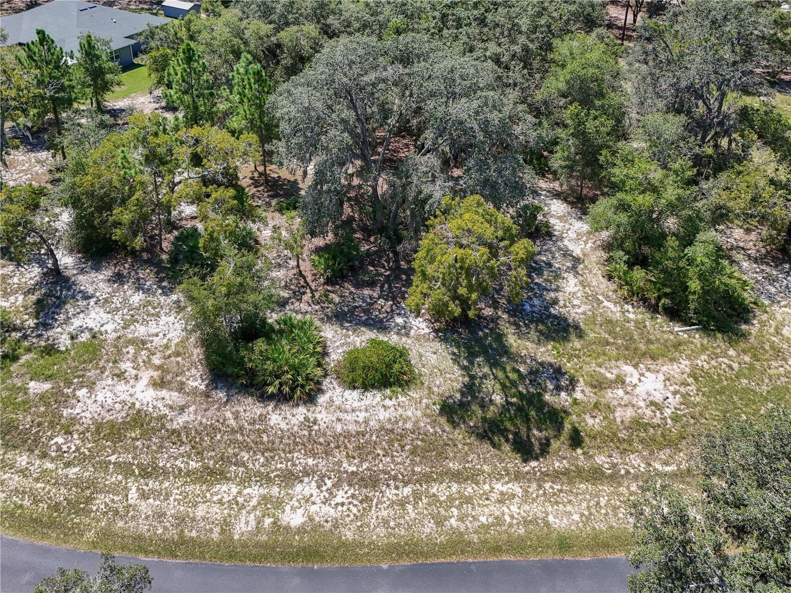 3134 BRIGHT LAKE CIR, LEESBURG, FL — photo 4