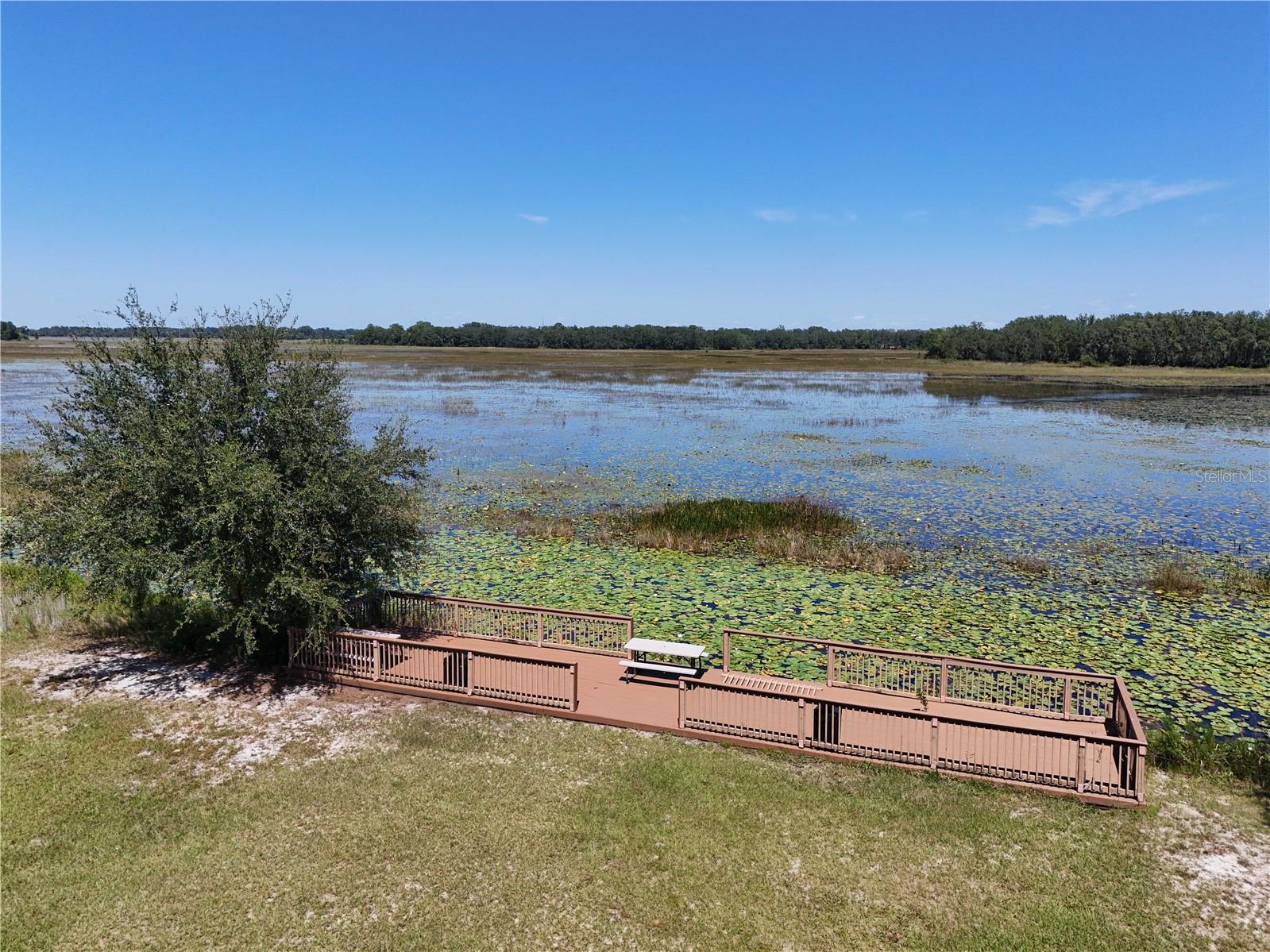 3134 BRIGHT LAKE CIR, LEESBURG, FL — photo 43