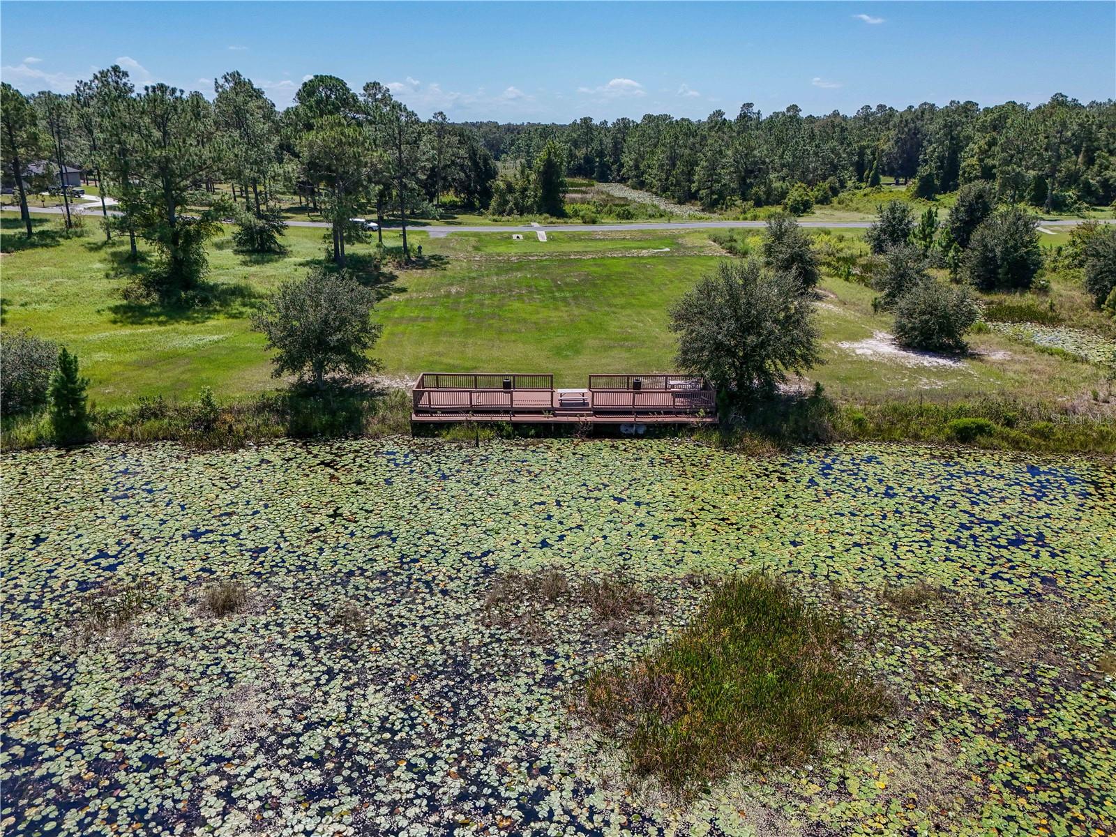 3134 BRIGHT LAKE CIR, LEESBURG, FL — photo 46