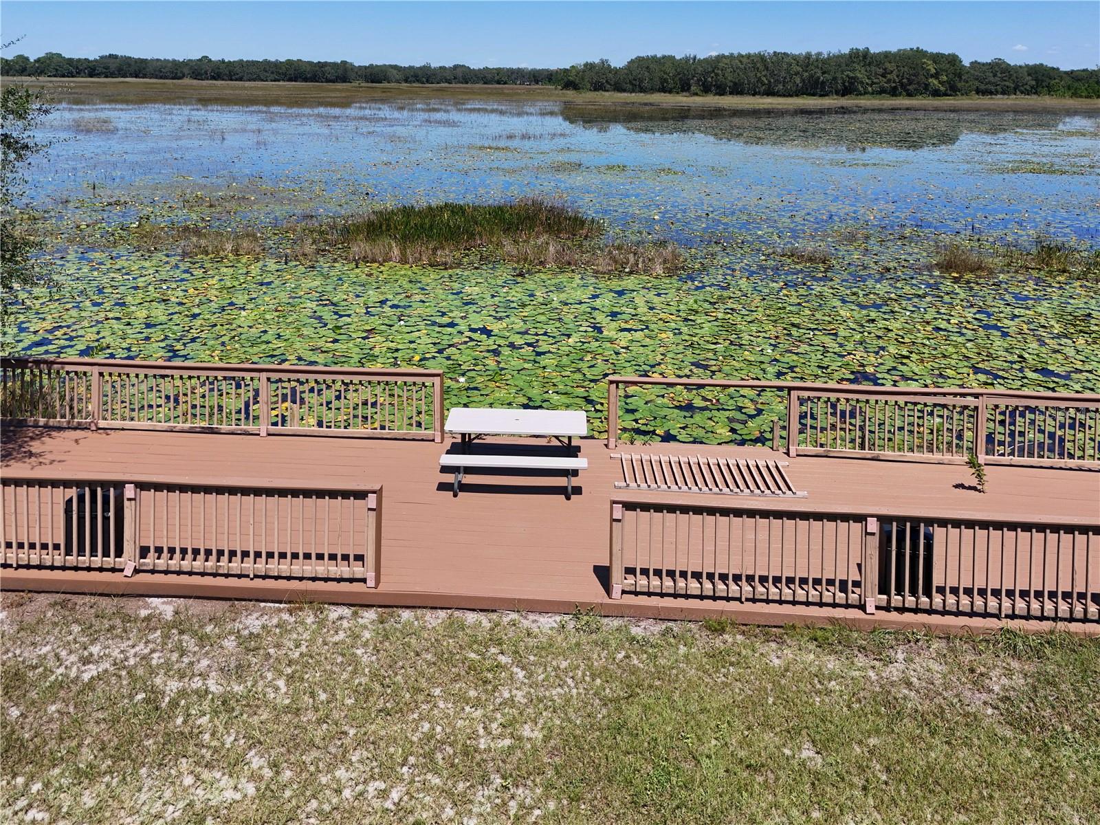 3134 BRIGHT LAKE CIR, LEESBURG, FL — photo 47