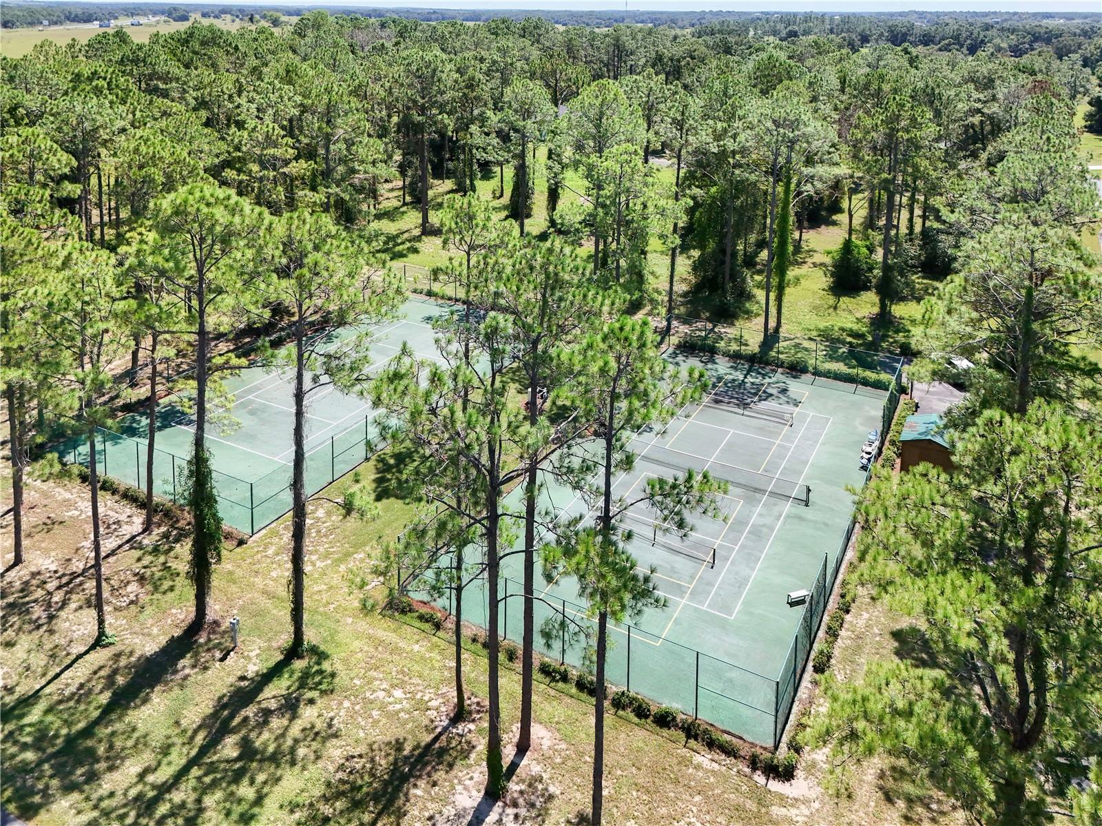 3134 BRIGHT LAKE CIR, LEESBURG, FL — photo 51