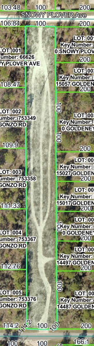 QUIGLEY AVE, BROOKSVILLE, FL