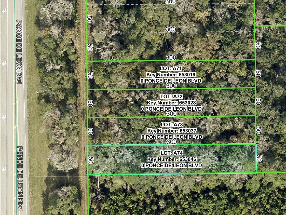 PONCE DE LEON BLVD, BROOKSVILLE, FL