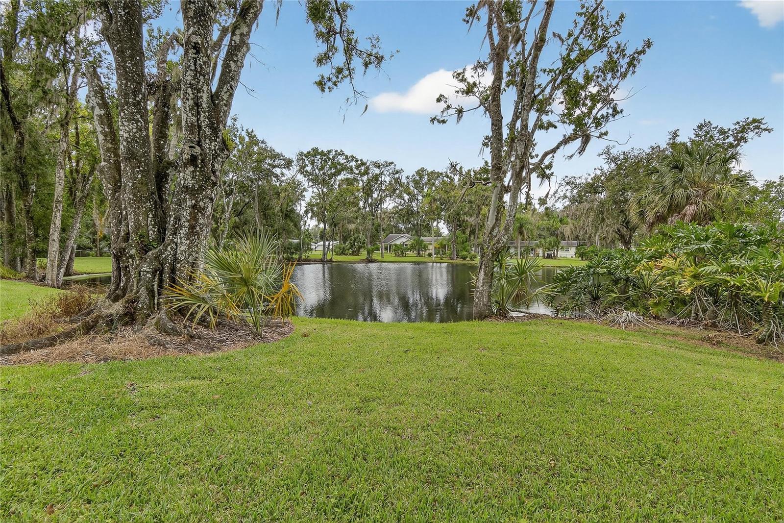 1502 AZALEA ST, PLANT CITY, FL — photo 68