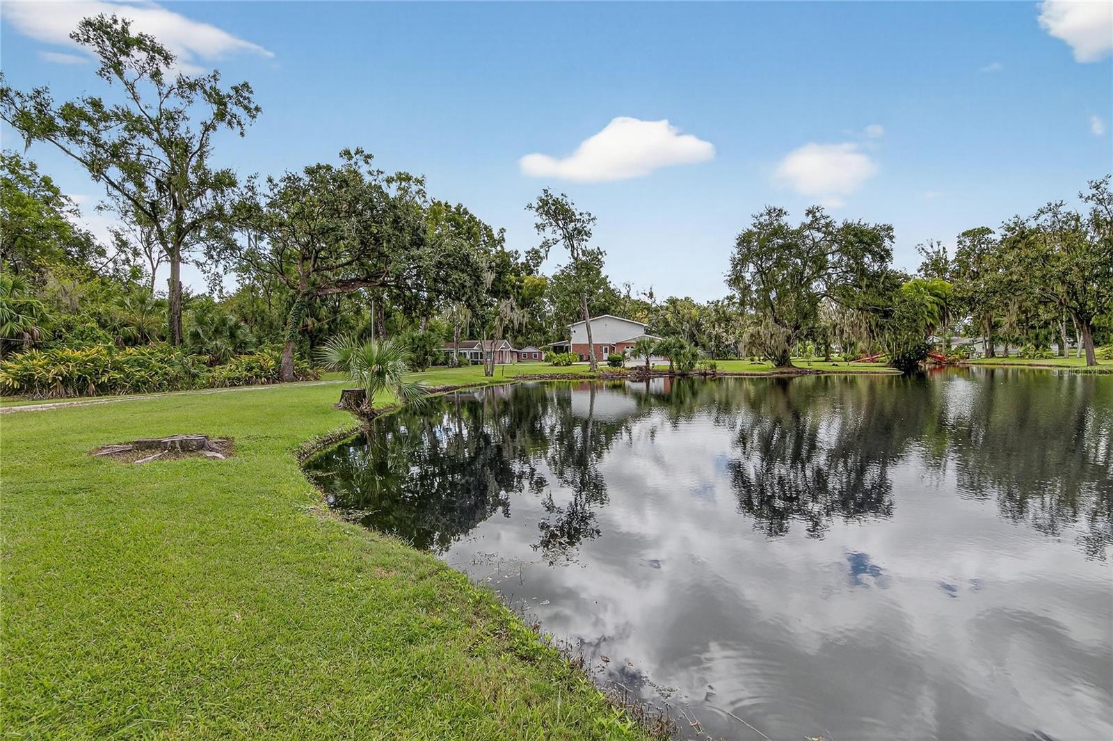 1502 AZALEA ST, PLANT CITY, FL — photo 77