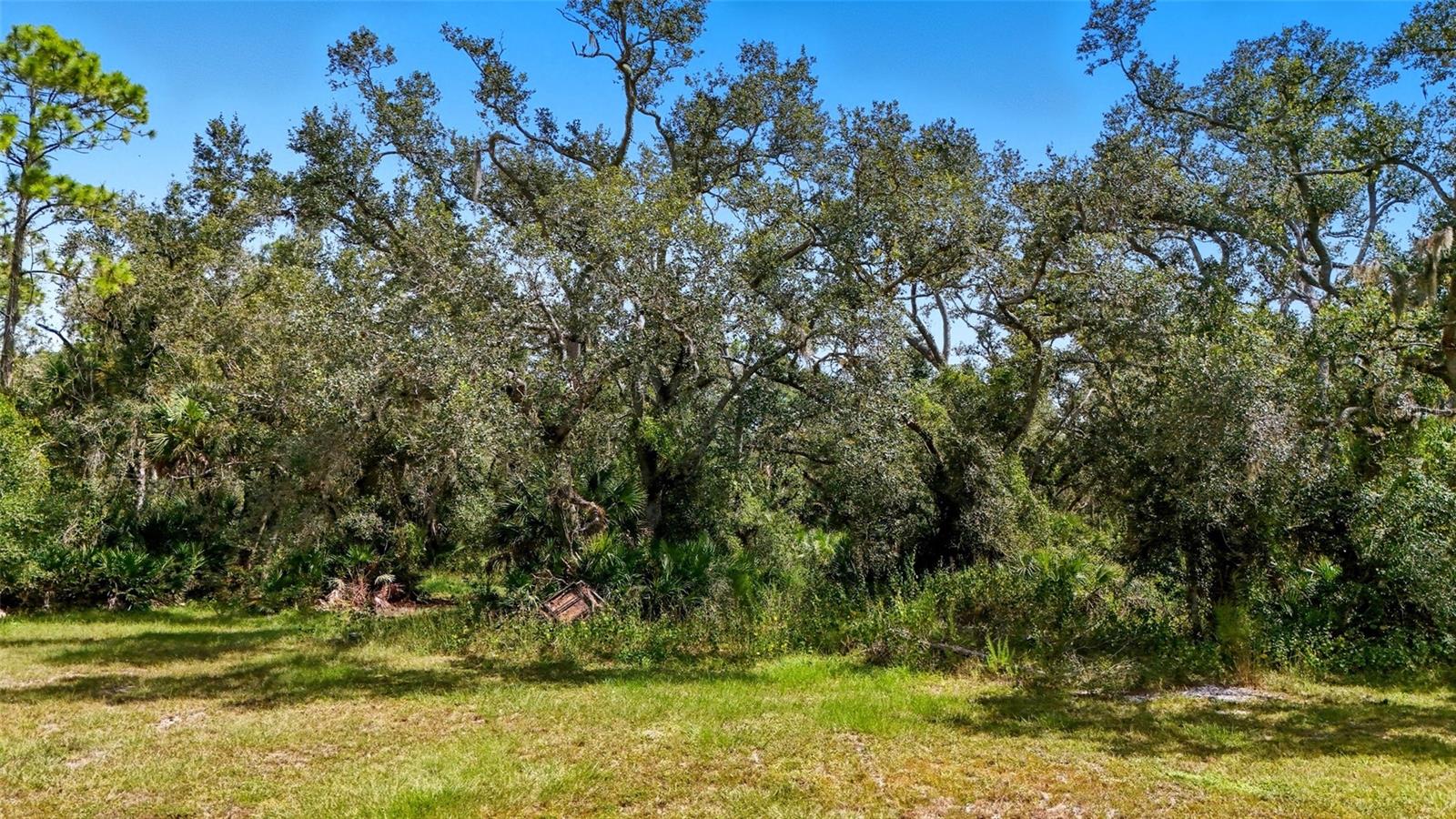 344 S MOON DR, VENICE, FL — photo 6