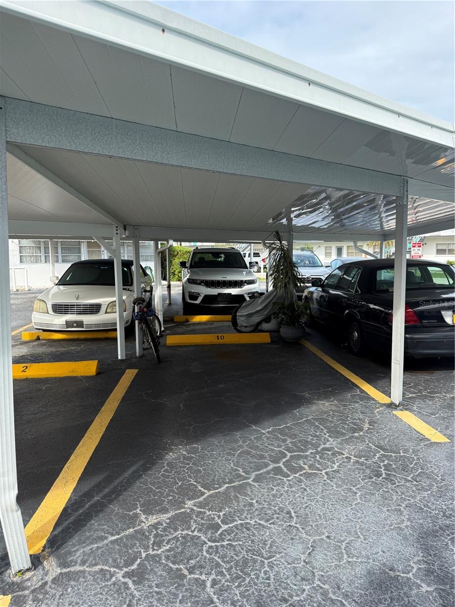 5900 21ST ST N #10, ST PETERSBURG, FL — photo 47