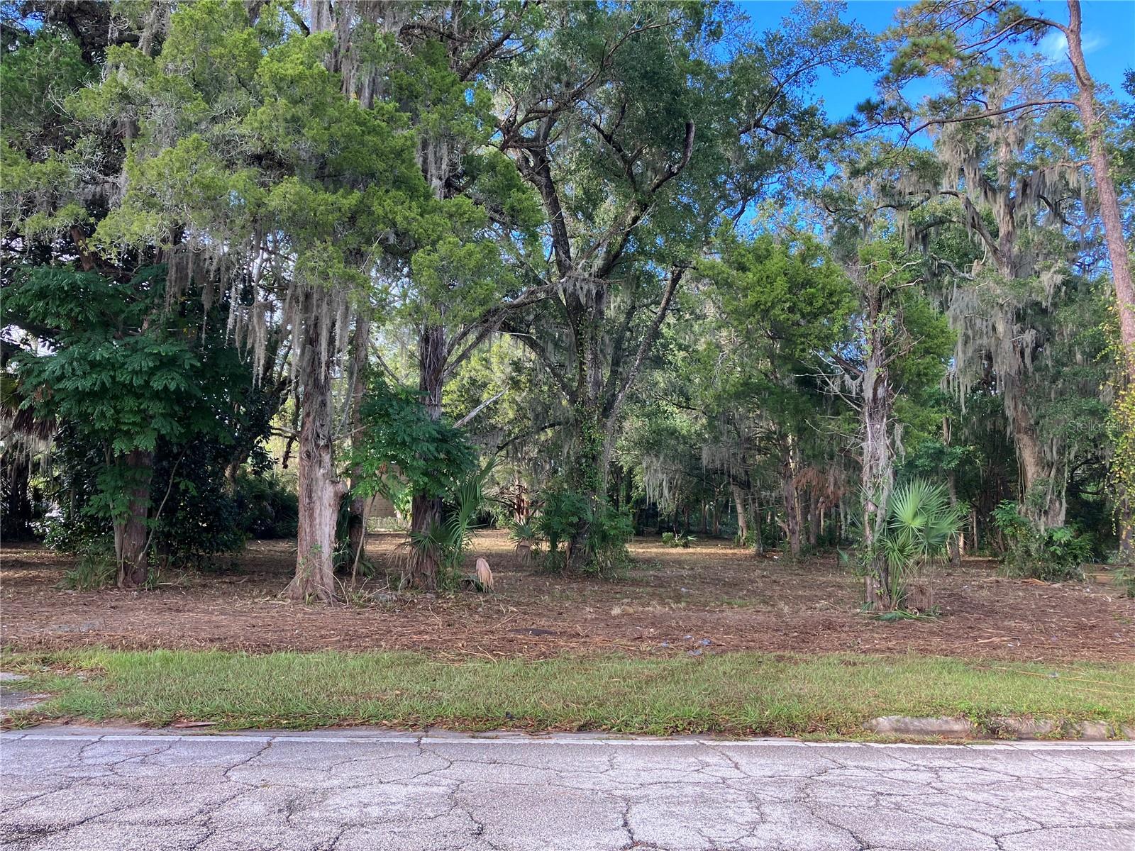 2917 NE 3RD ST, OCALA, FL — photo 12