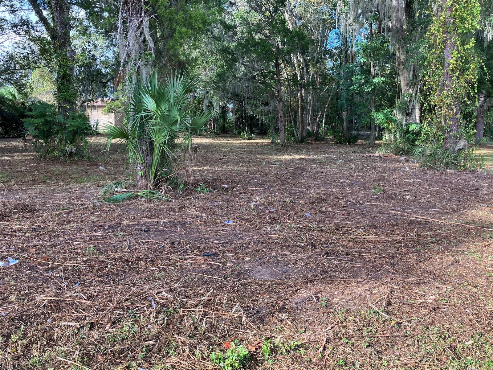 2917 NE 3RD ST, OCALA, FL — photo 14