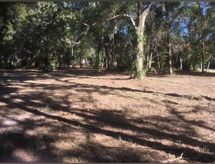 2917 NE 3RD ST, OCALA, FL — photo 15