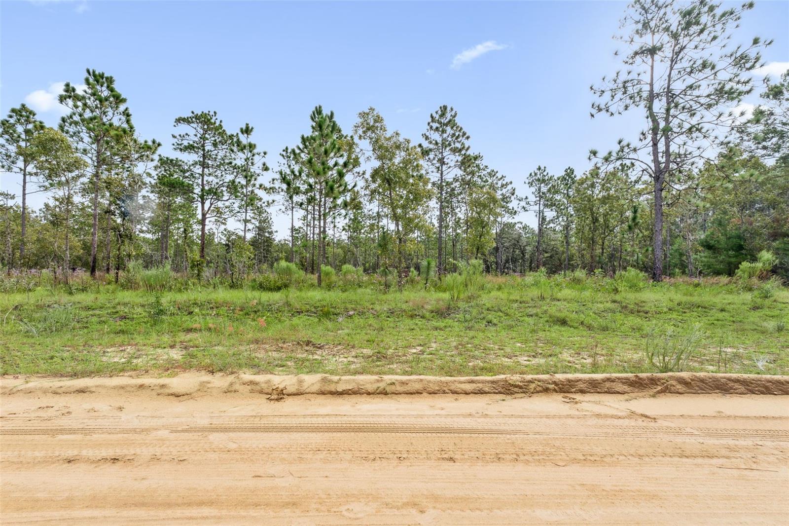 240 CESSNA WAY, HAWTHORNE, FL — photo 16
