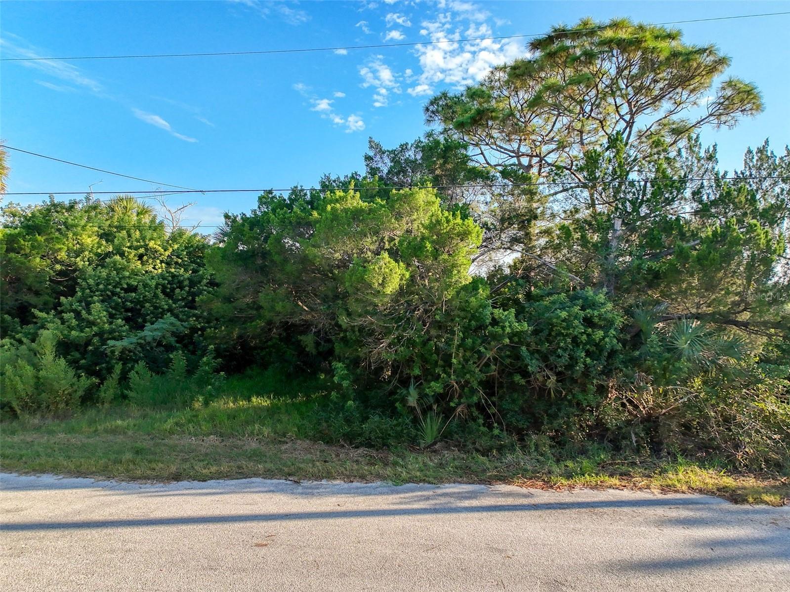 lot 11 NOWIKI AVE, HUDSON, FL — photo 11