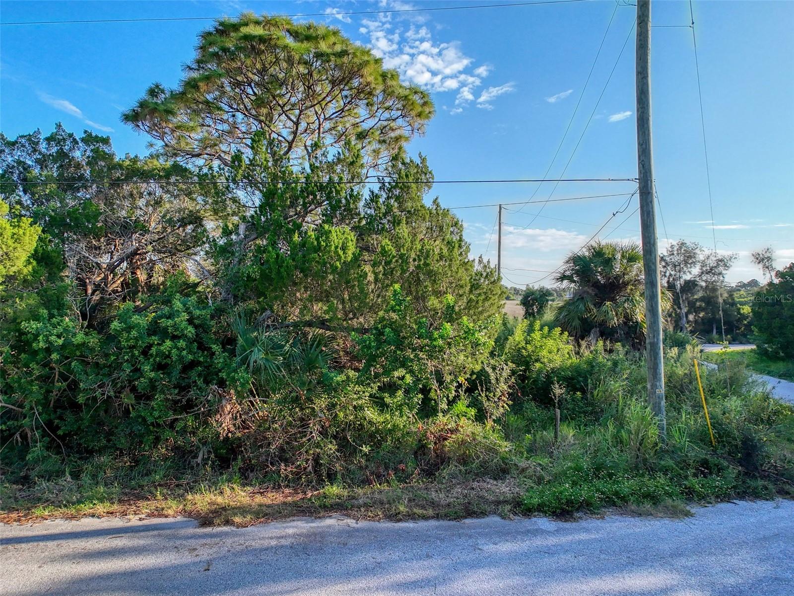 lot 12 NOWIKI AVE, HUDSON, FL — photo 17