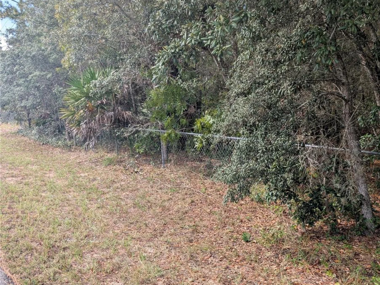 6499 W HERITAGE DR, HOMOSASSA, FL — photo 5