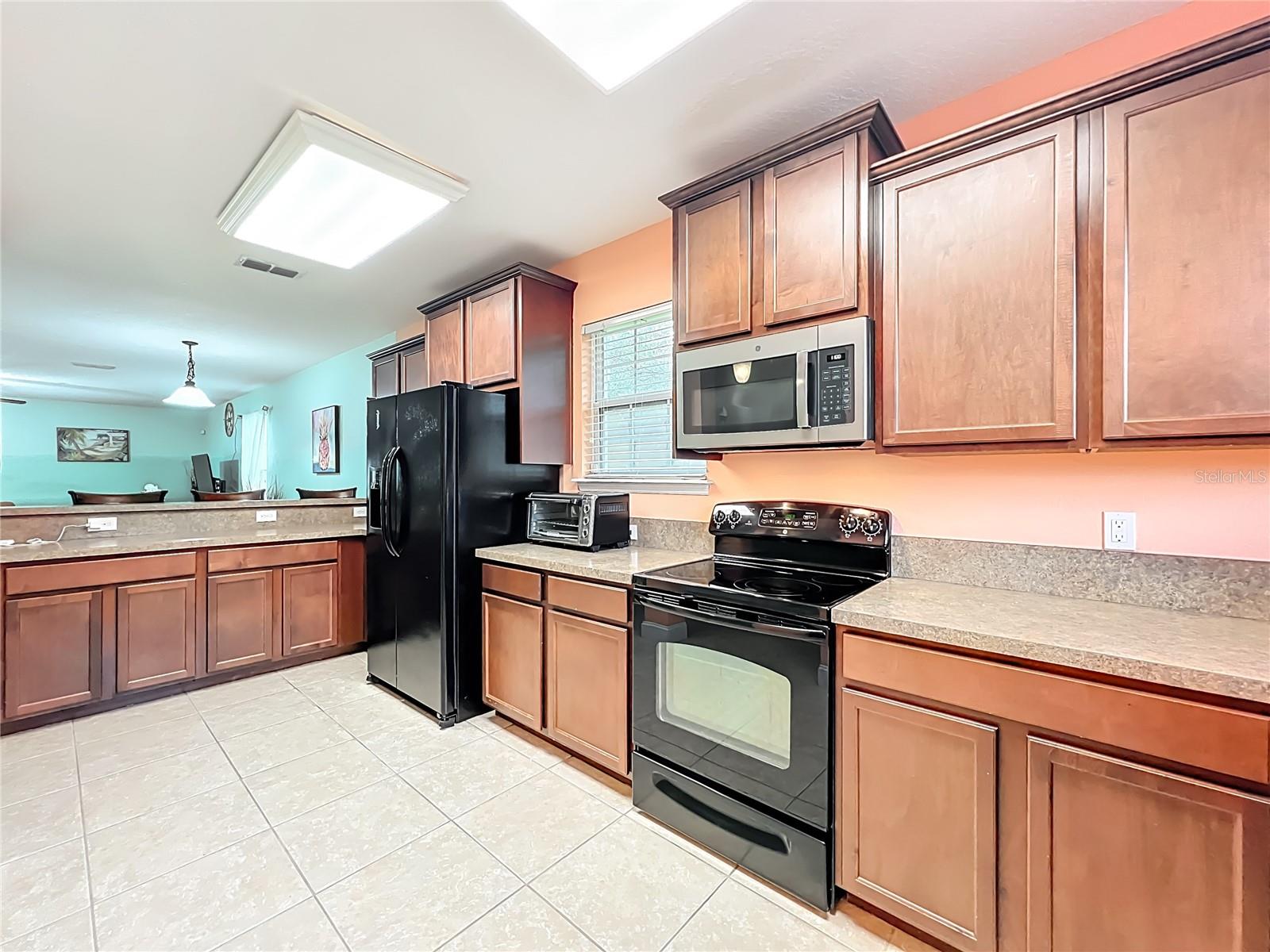 10100 GREEN BRANCH CT, ORLANDO, FL — photo 6