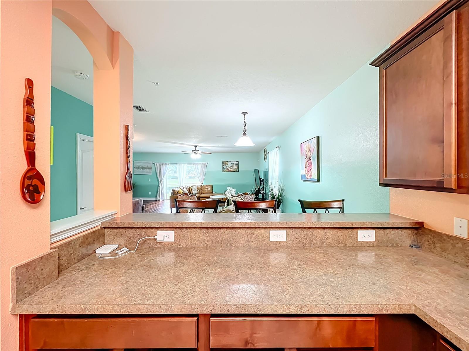 10100 GREEN BRANCH CT, ORLANDO, FL — photo 25