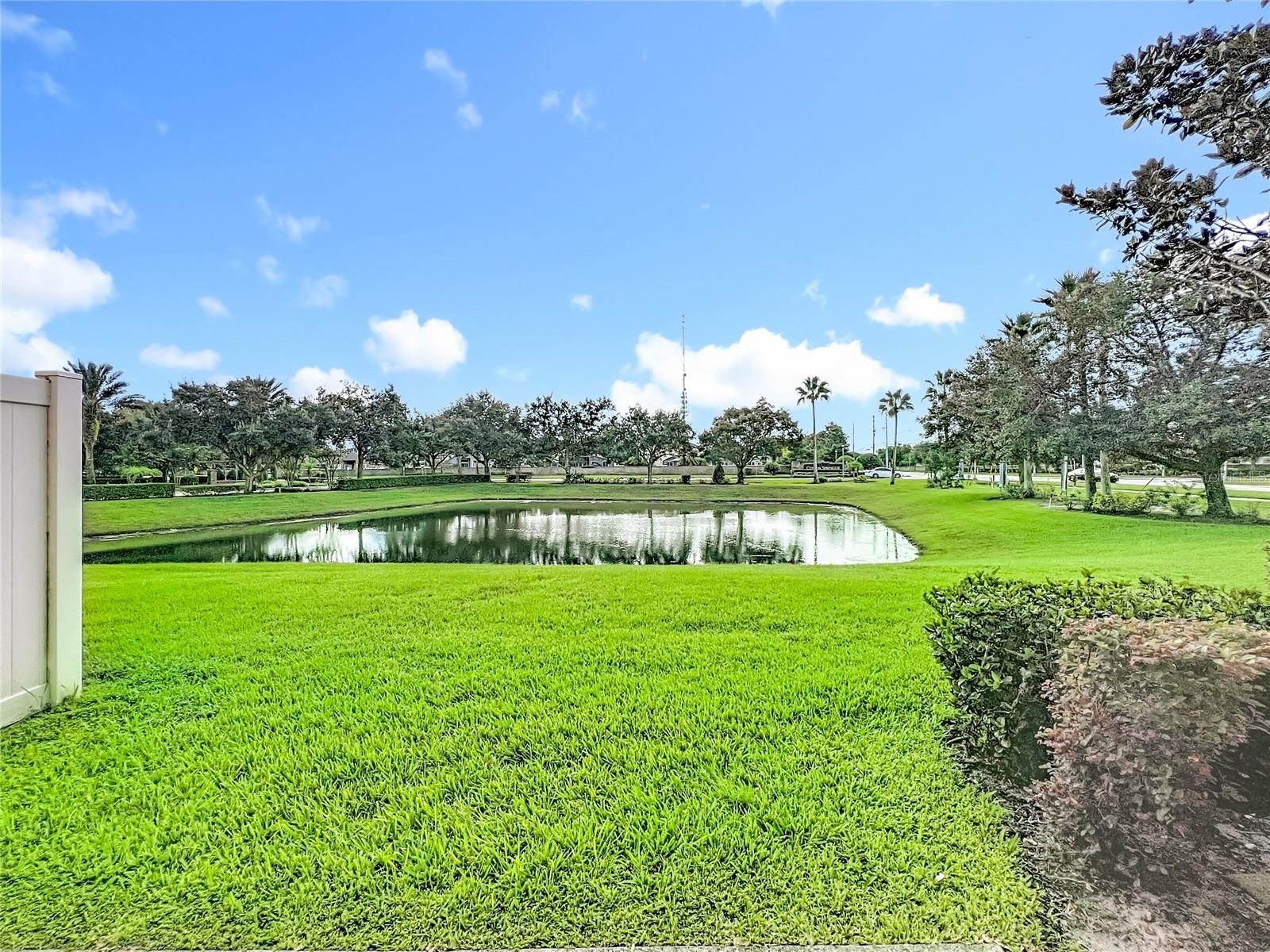 10100 GREEN BRANCH CT, ORLANDO, FL — photo 33