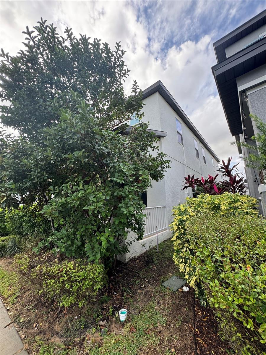 9338 TYRELLA PINE TRL, WINTER GARDEN, FL — photo 21