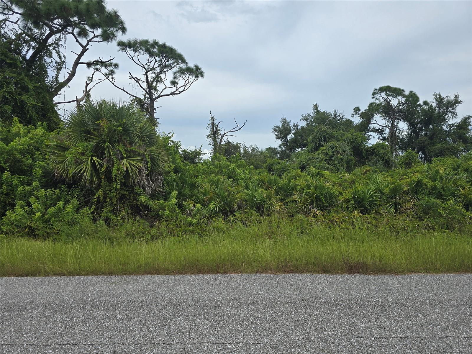 13381 AMARYLLIS CIR, PORT CHARLOTTE, FL — photo 15