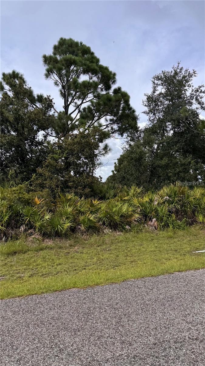 12166 ASHLEY AVE, PORT CHARLOTTE, FL — photo 5