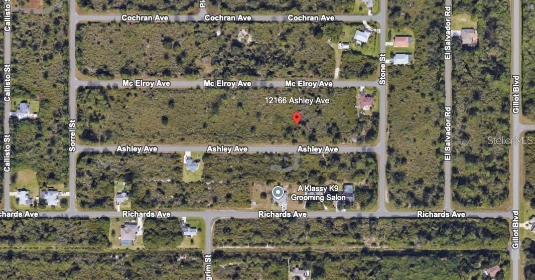 12166 ASHLEY AVE, PORT CHARLOTTE, FL — photo 7