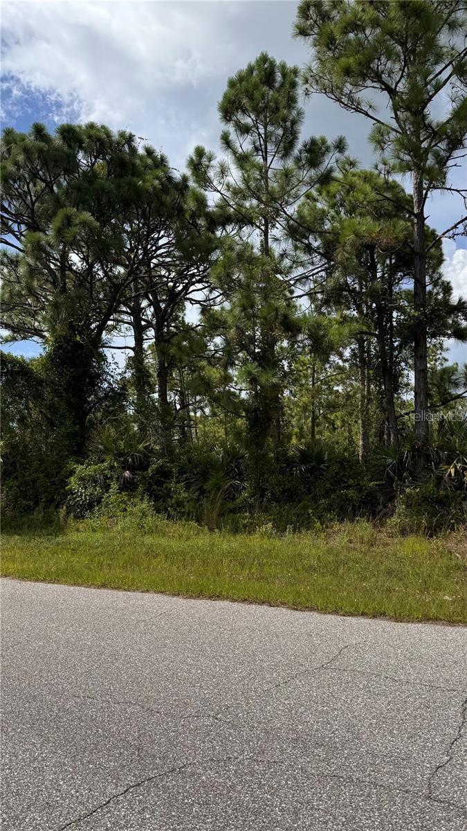 12060 BENHAM AVE, PORT CHARLOTTE, FL — photo 6