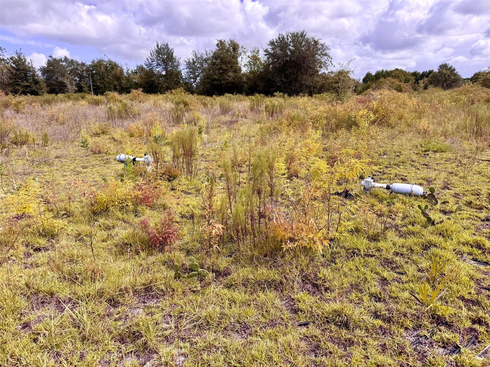 14385 SW HIGHWAY 484, DUNNELLON, FL — photo 25