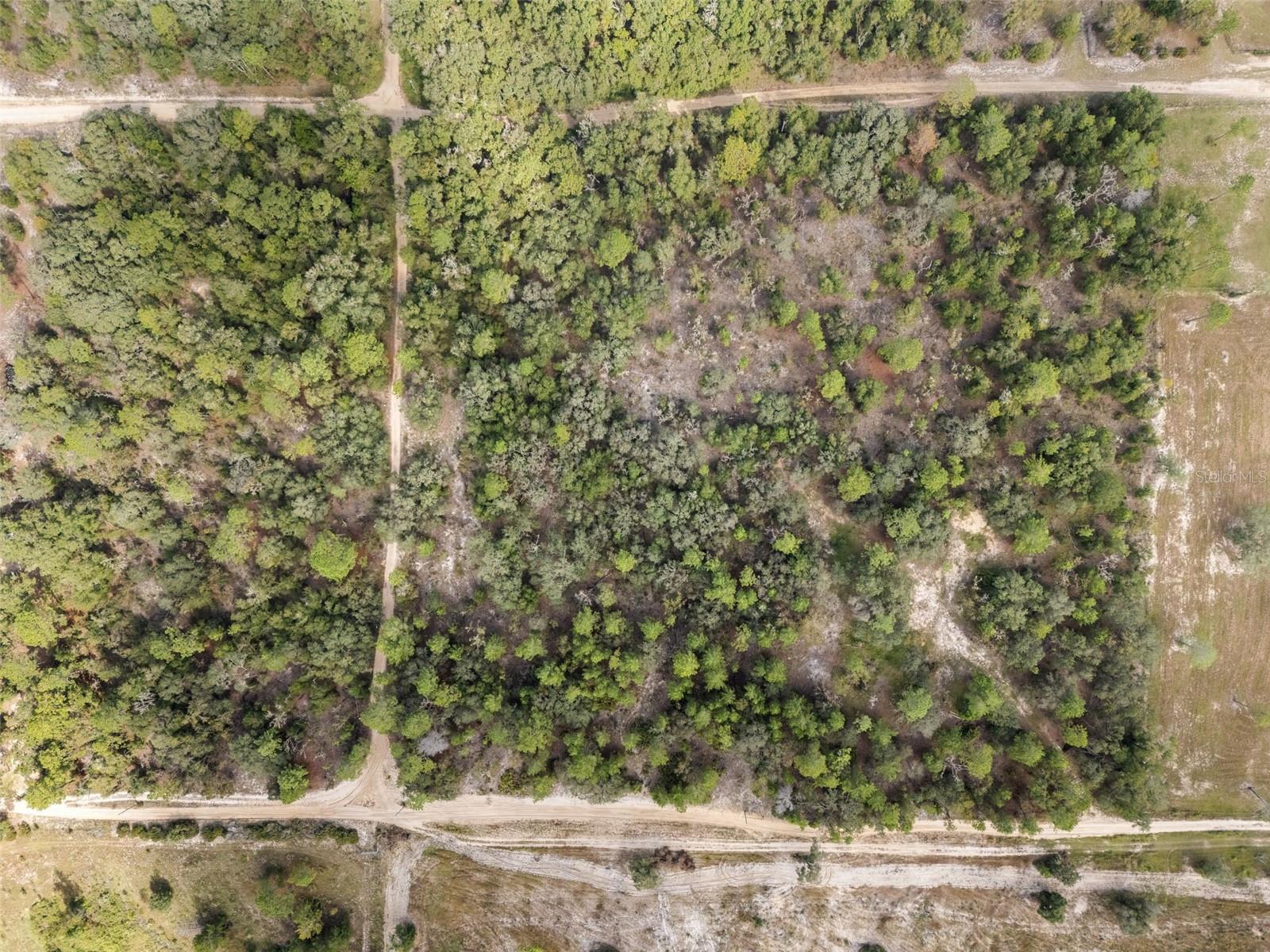 0 NE 75 ST, BRONSON, FL — photo 14
