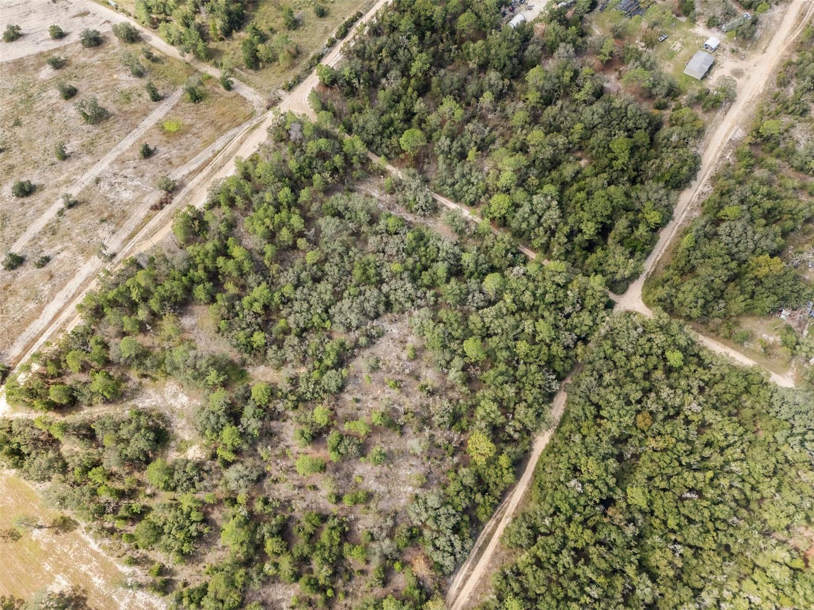 0 NE 75 ST, BRONSON, FL — photo 15