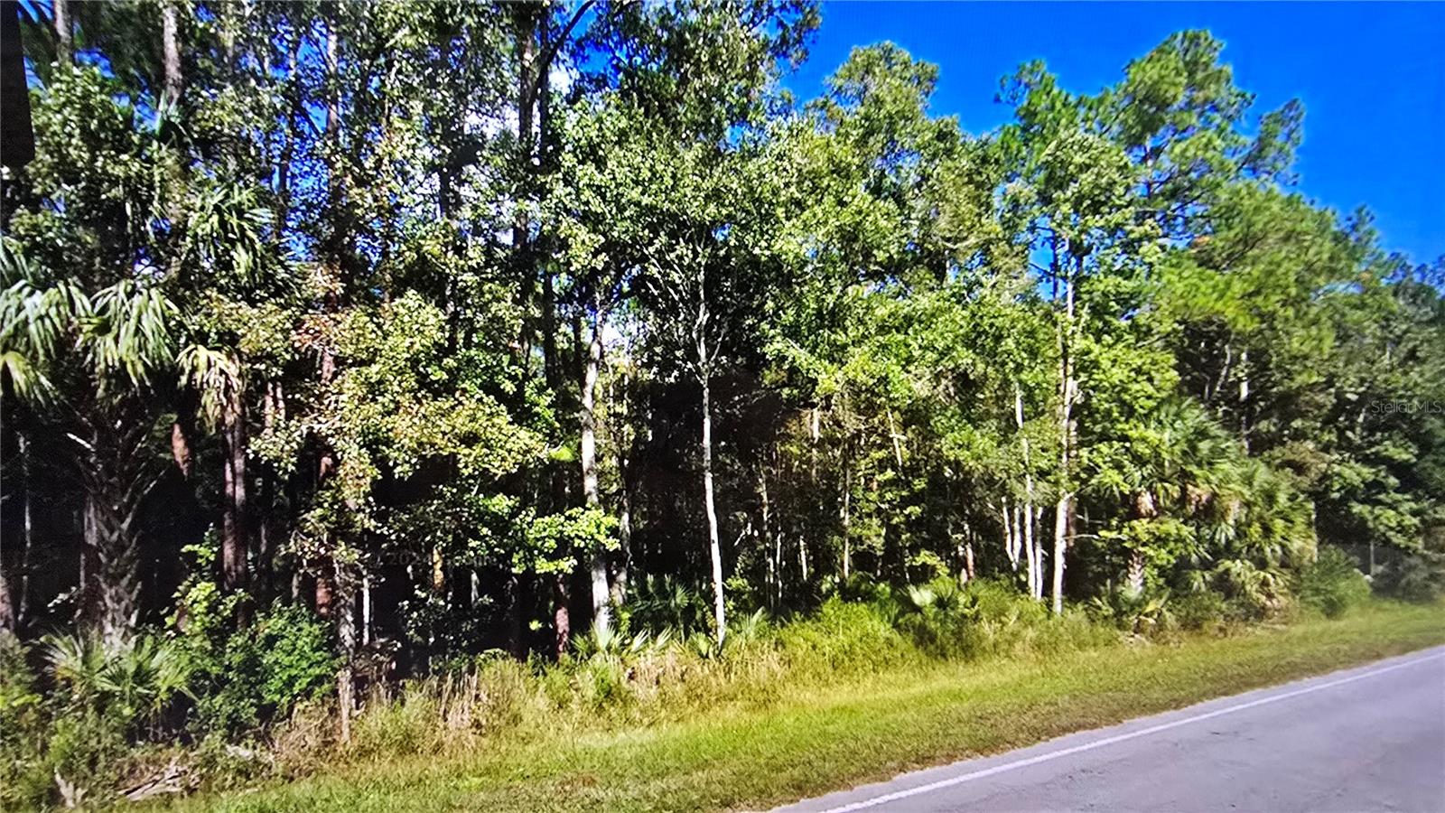 00 E HIGHWAY 316, FORT MC COY, FL — photo 4