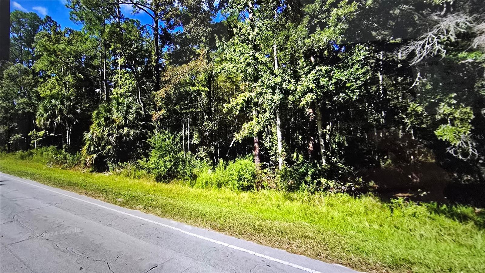 00 E HIGHWAY 316, FORT MC COY, FL — photo 5