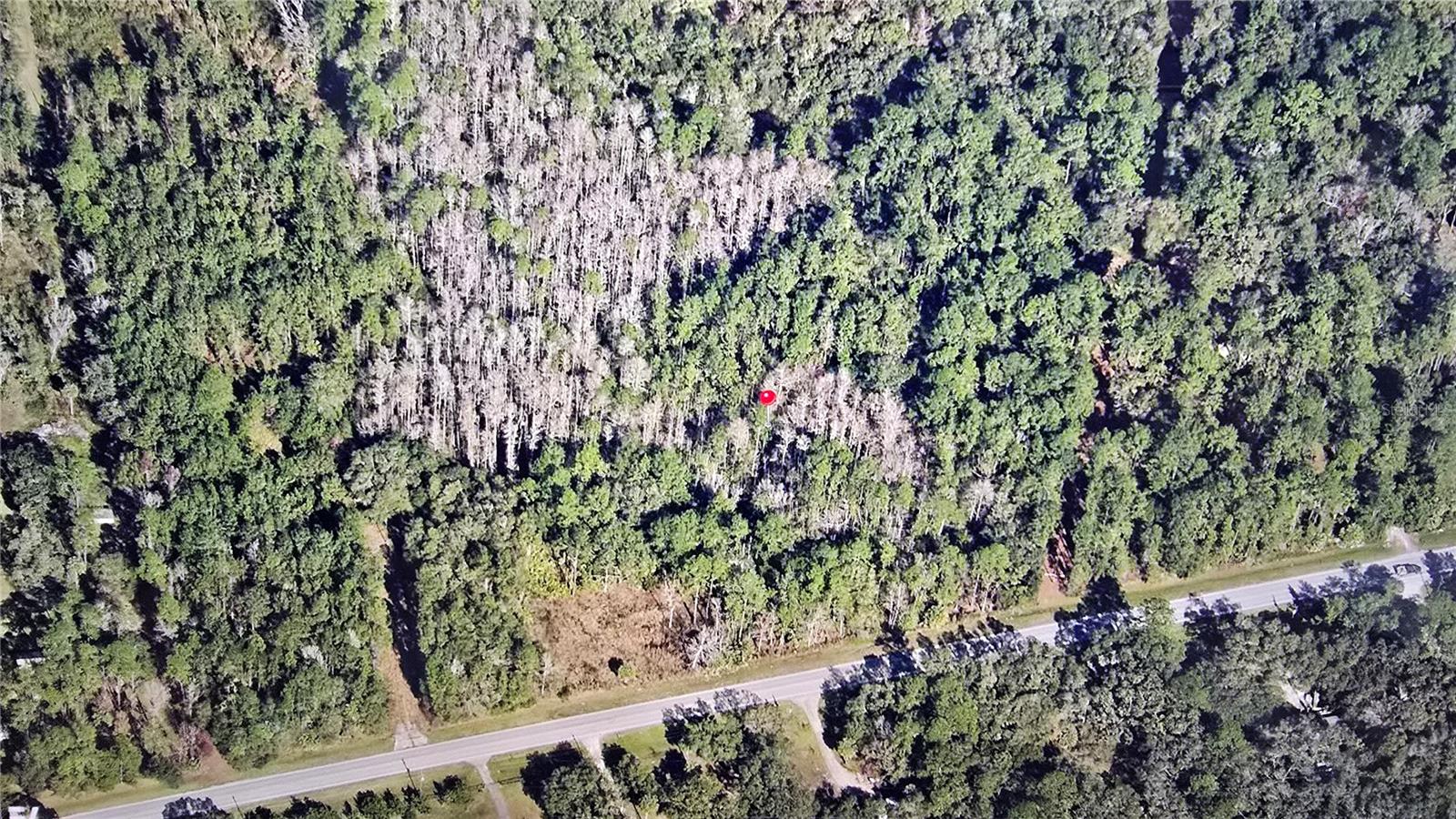00 E HIGHWAY 316, FORT MC COY, FL — photo 21