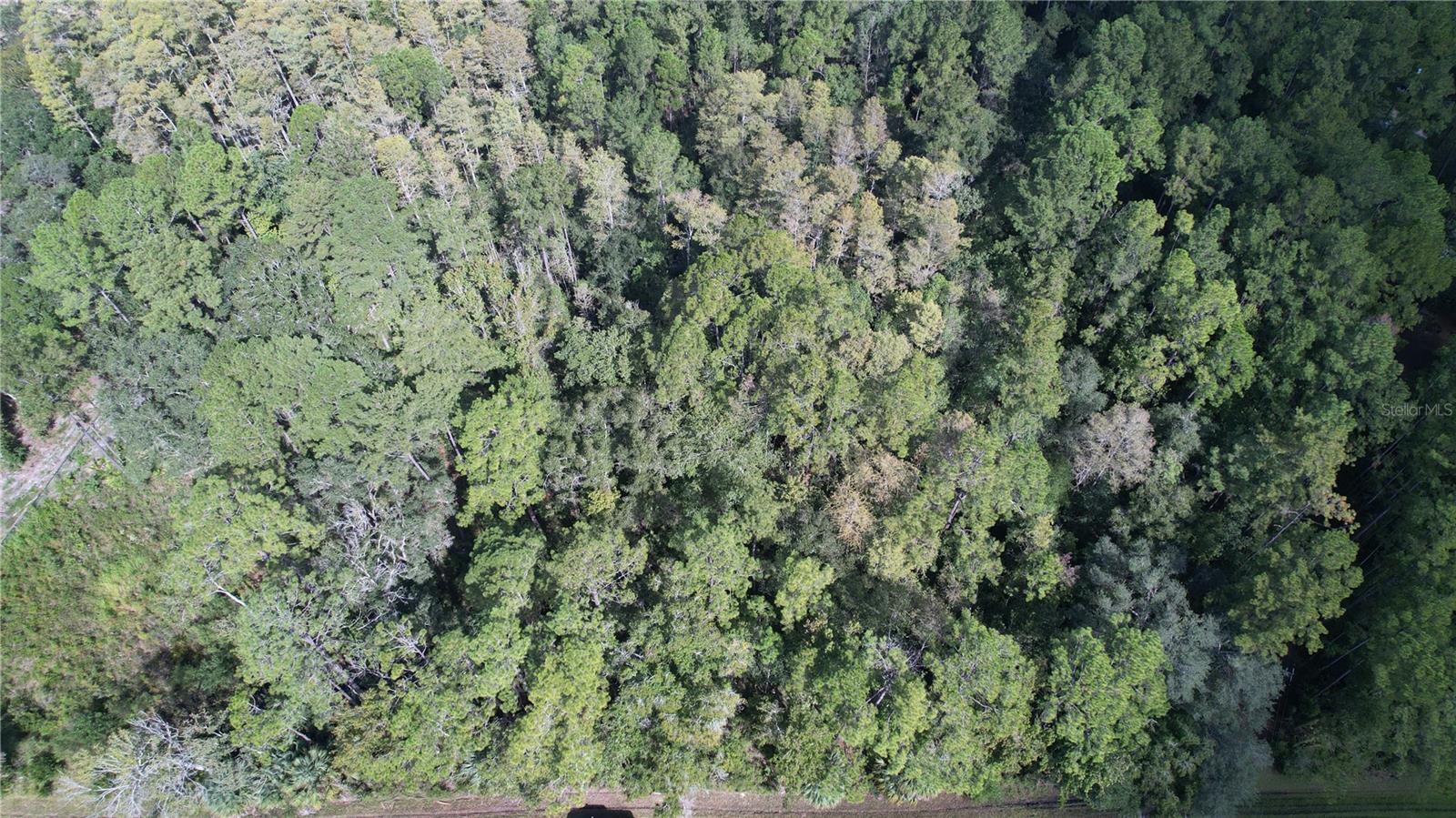 00 E HIGHWAY 316, FORT MC COY, FL — photo 9