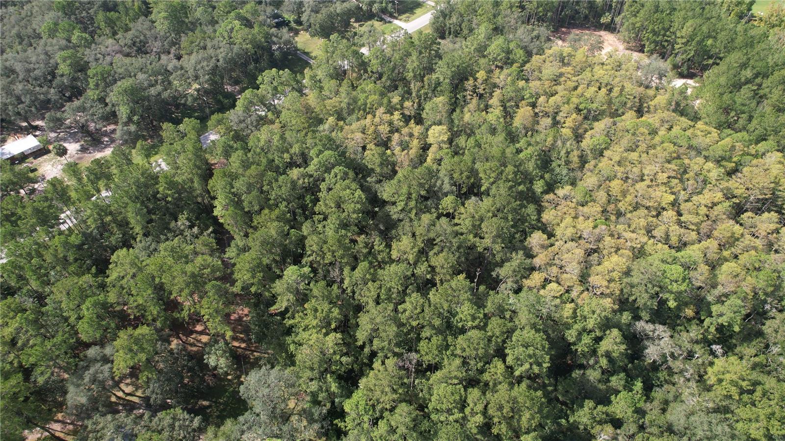 00 E HIGHWAY 316, FORT MC COY, FL — photo 11