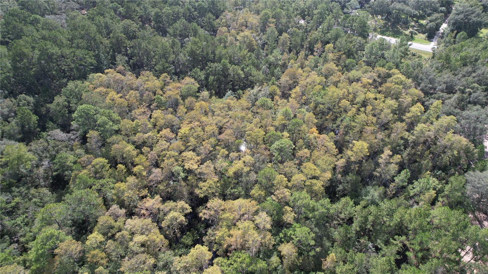 00 E HIGHWAY 316, FORT MC COY, FL — photo 12