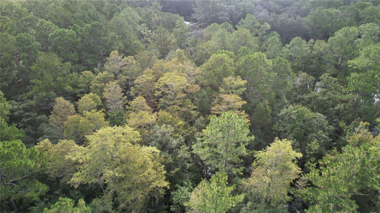 00 E HIGHWAY 316, FORT MC COY, FL — photo 14