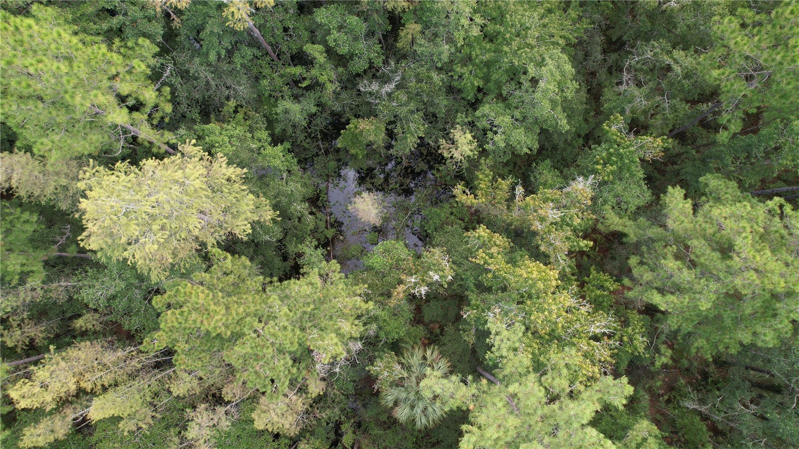 00 E HIGHWAY 316, FORT MC COY, FL — photo 16