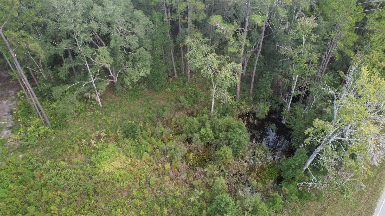 00 E HIGHWAY 316, FORT MC COY, FL — photo 17