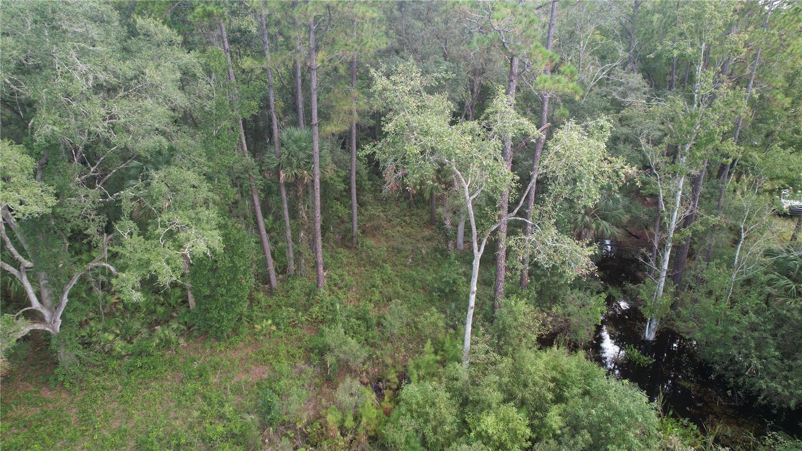 00 E HIGHWAY 316, FORT MC COY, FL — photo 18