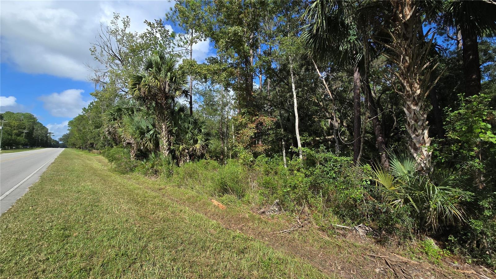 00 E HIGHWAY 316, FORT MC COY, FL — photo 20