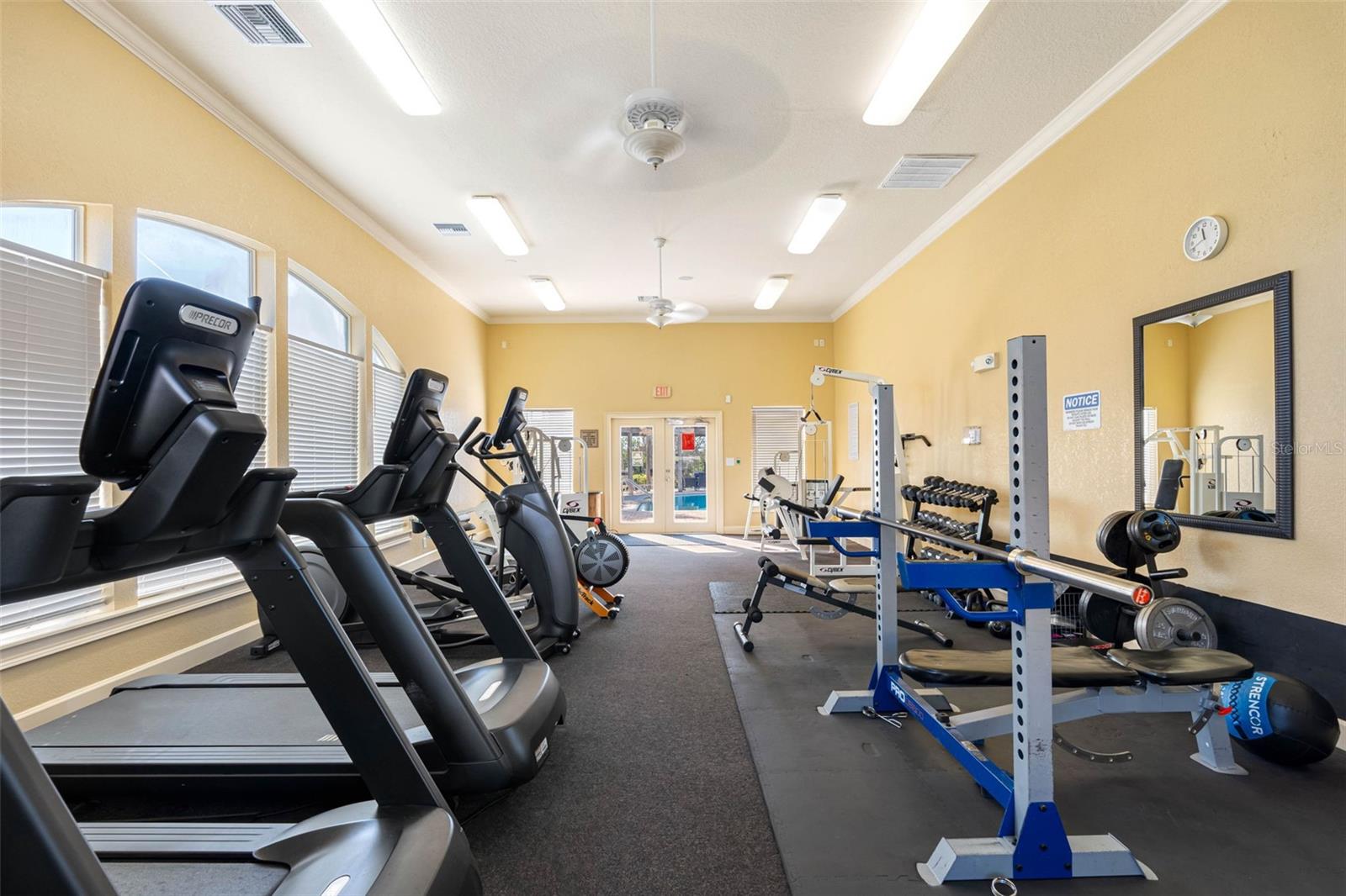 4343 BAYSIDE VILLAGE DR #104, TAMPA, FL — photo 47