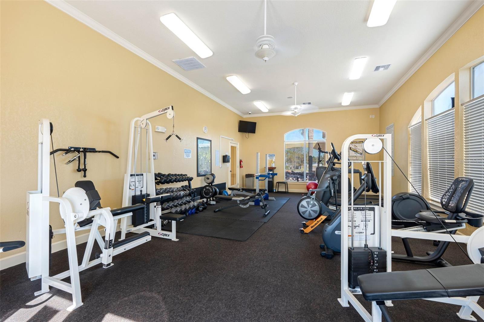4343 BAYSIDE VILLAGE DR #104, TAMPA, FL — photo 48