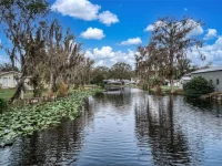 612 DRAGONFLY LN — photo 6