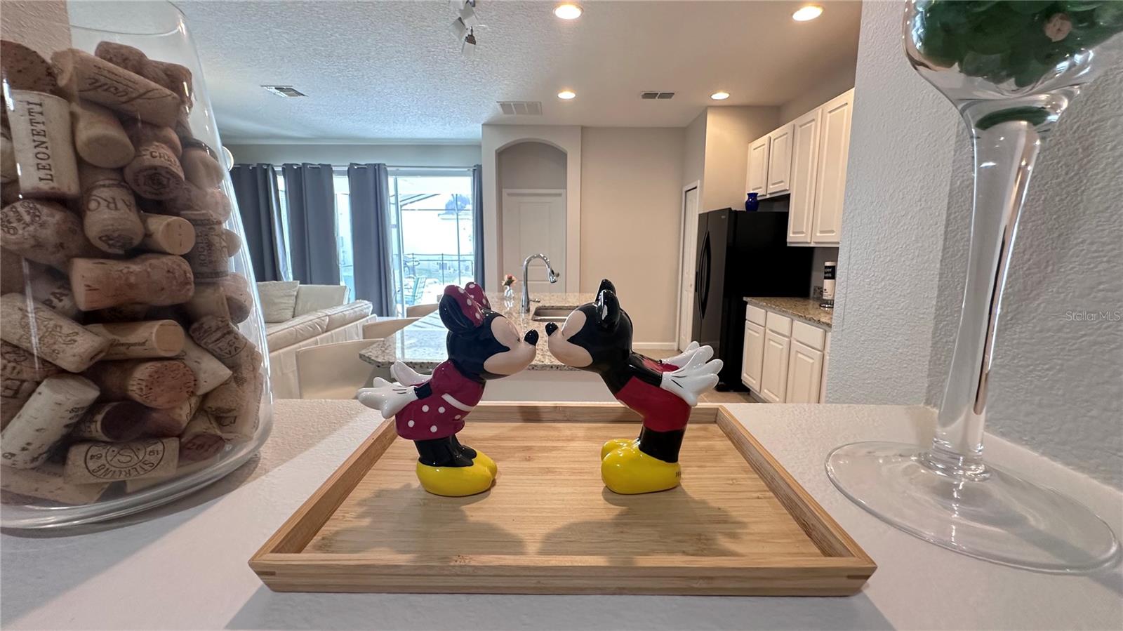 4504 MONADO DR, KISSIMMEE, FL — photo 49