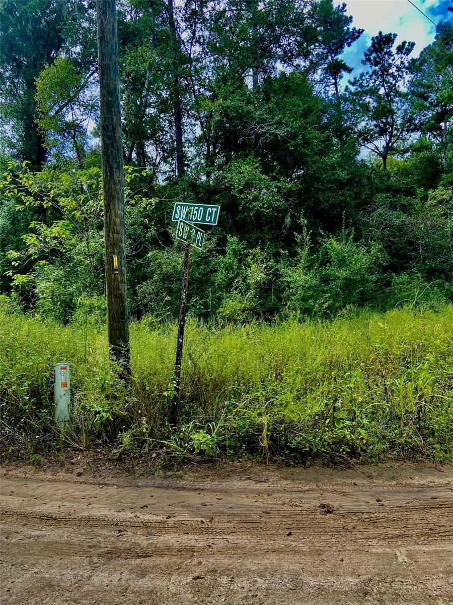 0 SW 8TH PL SW #0, OCALA, FL — photo 7