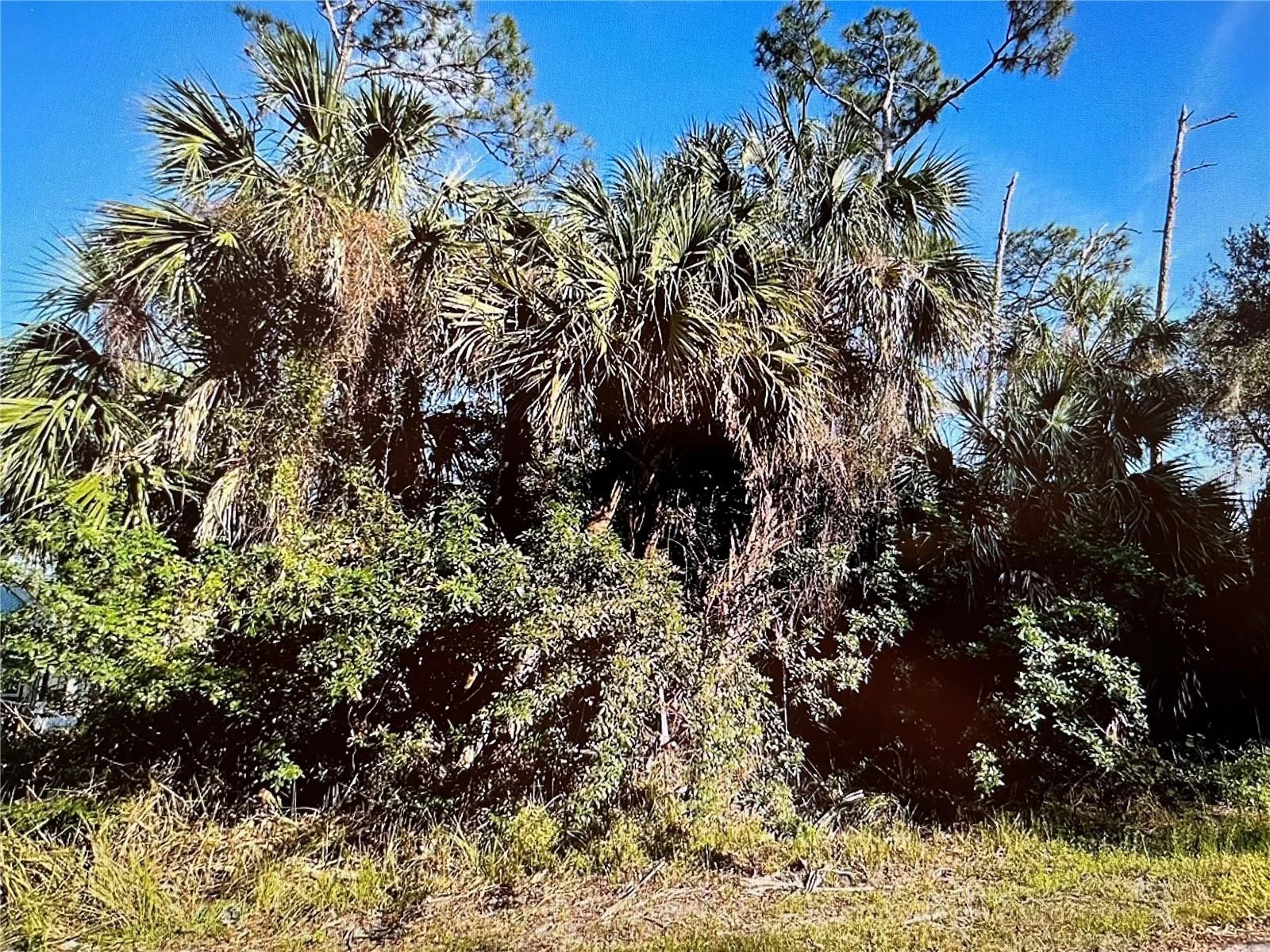 219 SWIFT ST, PORT CHARLOTTE, FL — photo 4
