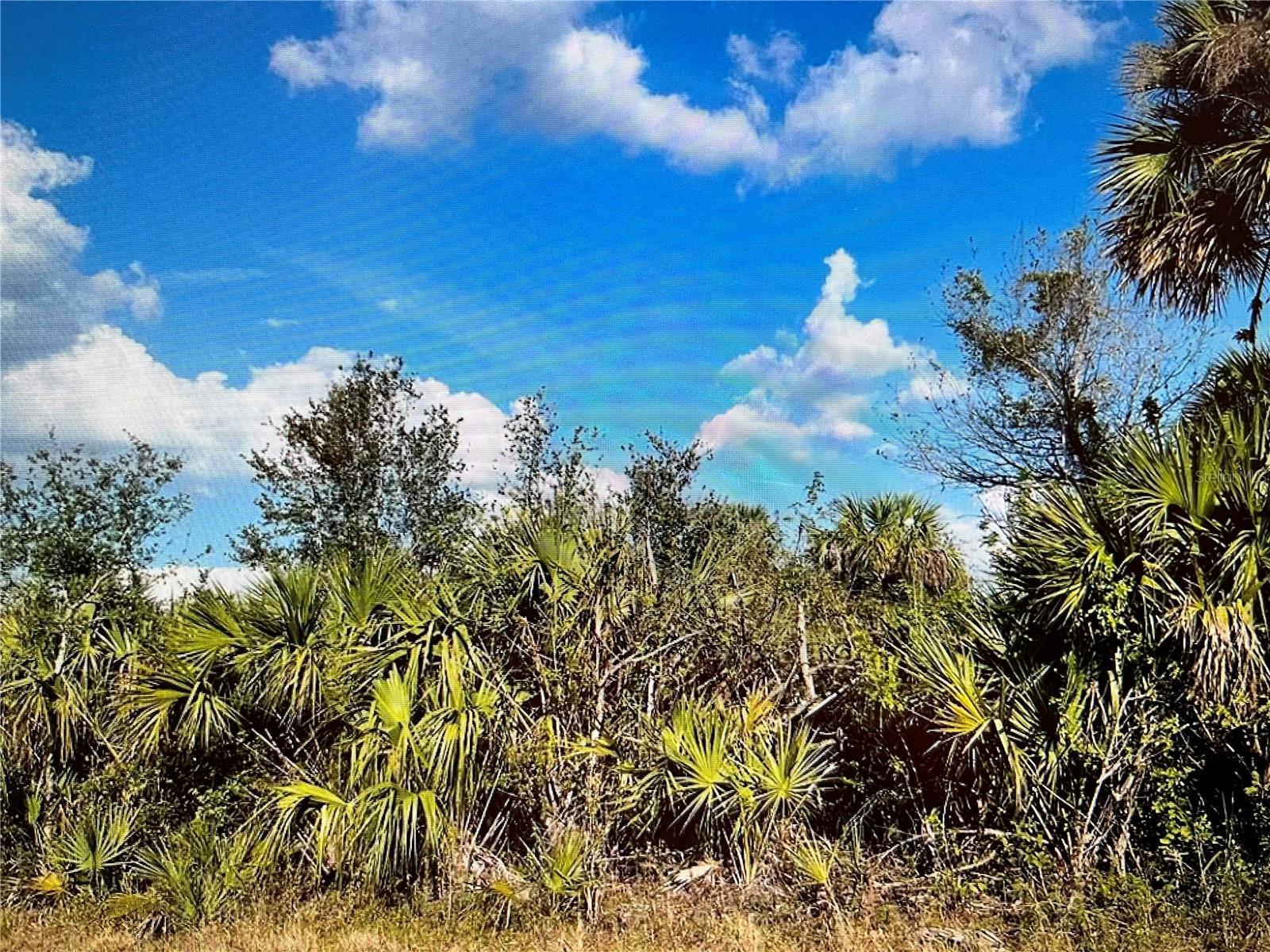 347 LAWLER ST, PORT CHARLOTTE, FL