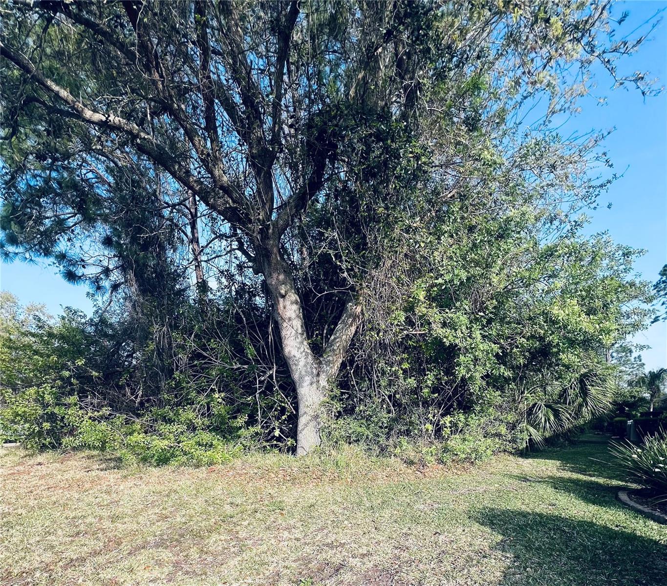 91 EMERALD LAKE DR, PALM COAST, FL — photo 2